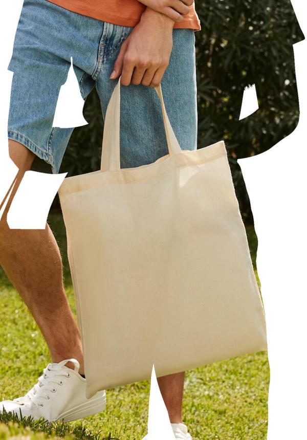 FR 61028 - Budget Promo Bag For Life