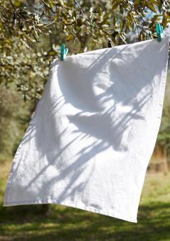 Tea Towel