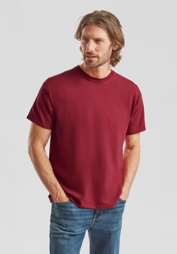 FR 13001 - Original T