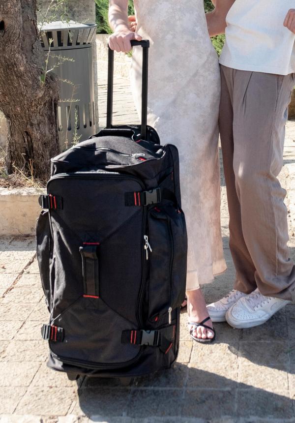 FR 69938 - Paris Trolley Holdall
