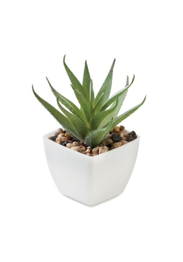 MO MO2852 - Mini műnövény, aloe ferox mill