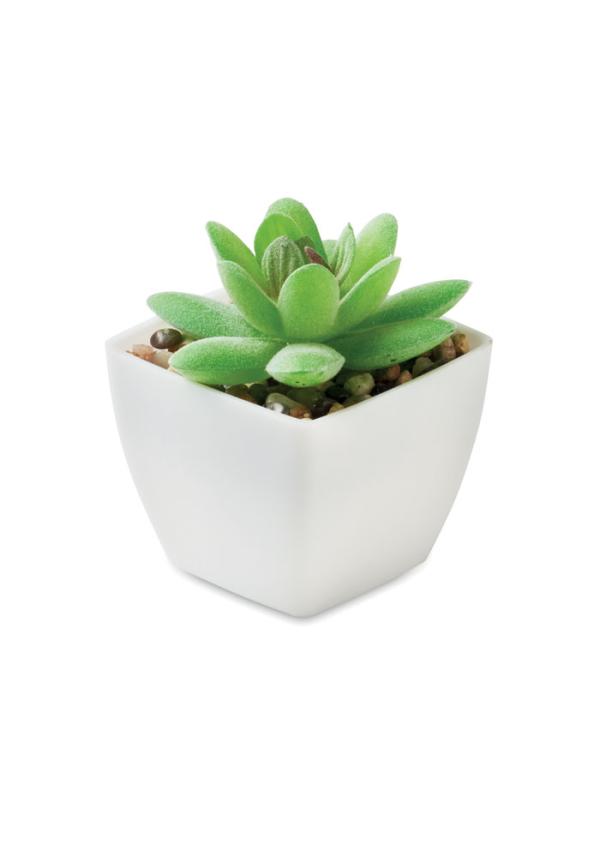 MO MO2854 - Mini műnövény, graptopetalum