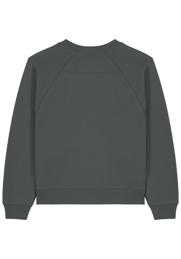 S STSW217 - Stella Clara - Anthracite (C253) S STSW217 - Stella Clara - Anthracite (C253)