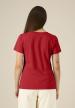 S STTW079 - Stella Expresser 2.0 - Red (C004) S STTW079 - Stella Expresser 2.0 - Red (C004)