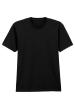 FR 11509 - Softstyle Midweight Adult No Label Enzyme Wash T-S FR 11509 - Softstyle Midweight Adult No Label Enzyme Wash T-S