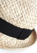 FR 04869 - Festival Trilby
