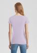 FR 14601 - Ladies' Iconic 150 V Neck T